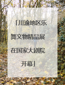 川渝地区乐舞文物精品展在国家大剧院开幕