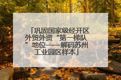 巩固国家级经开区外贸外资“第一梯队”地位——解码苏州工业园区样本