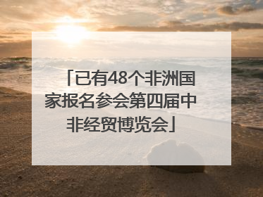 已有48个非洲国家报名参会第四届中非经贸博览会
