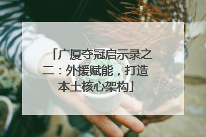 广厦夺冠启示录之二：外援赋能，打造本土核心架构