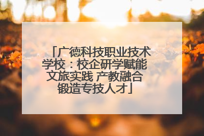 广德科技职业技术学校：校企研学赋能文旅实践 产教融合锻造专技人才