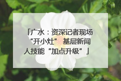 广水：资深记者现场“开小灶” 基层新闻人技能“加点升级”