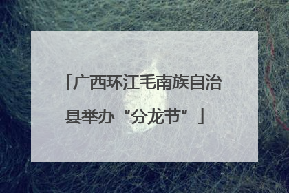 广西环江毛南族自治县举办“分龙节”