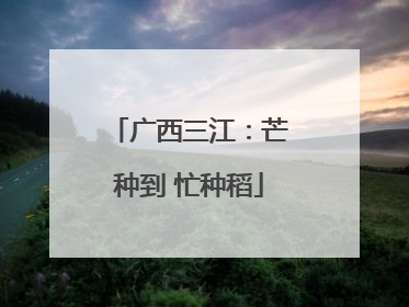 广西三江：芒种到 忙种稻