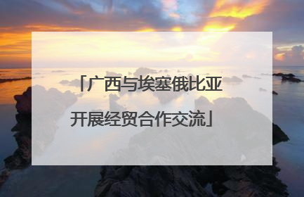 广西与埃塞俄比亚开展经贸合作交流