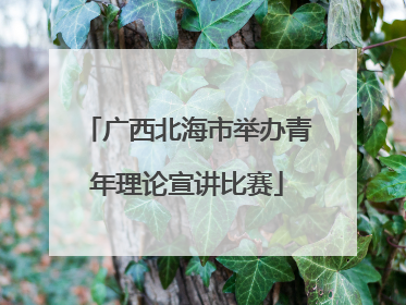 广西北海市举办青年理论宣讲比赛