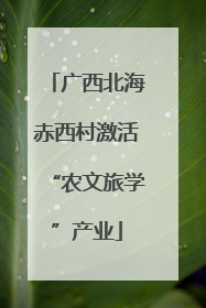 广西北海赤西村激活“农文旅学”产业