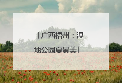 广西梧州：湿地公园夏景美