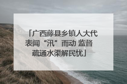 广西藤县乡镇人大代表闻“汛”而动 监督疏通水渠解民忧