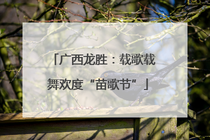 广西龙胜：载歌载舞欢度“苗歌节”