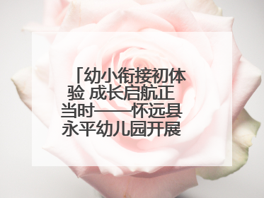 幼小衔接初体验 成长启航正当时——怀远县永平幼儿园开展参观小学活动
