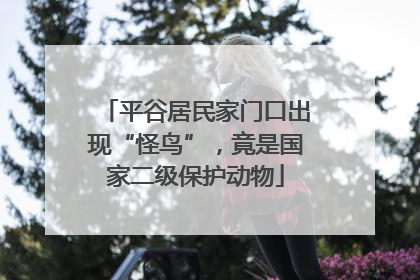 平谷居民家门口出现“怪鸟”，竟是国家二级保护动物