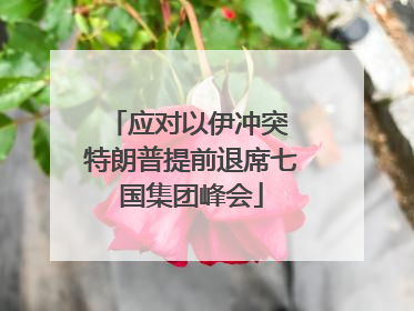 应对以伊冲突 特朗普提前退席七国集团峰会