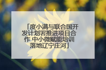 度小满与联合国开发计划署推进项目合作 中小微赋能培训落地辽宁庄河