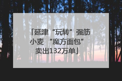 延津“玩转”强筋小麦 “魔方面包”卖出132万单