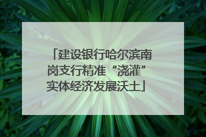 建设银行哈尔滨南岗支行精准“浇灌”实体经济发展沃土