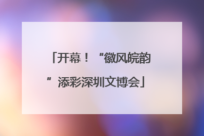 开幕！“徽风皖韵”添彩深圳文博会