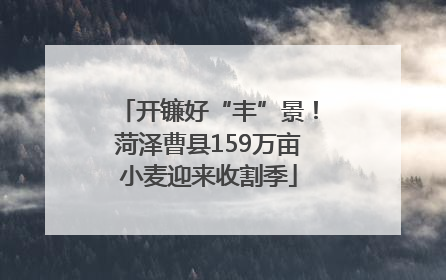 开镰好“丰”景！菏泽曹县159万亩小麦迎来收割季