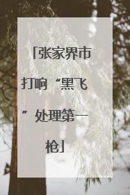 张家界市打响“黑飞”处理第一枪