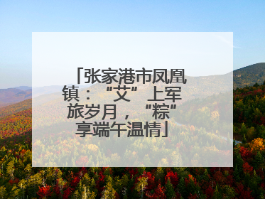 张家港市凤凰镇：“艾”上军旅岁月，“粽”享端午温情