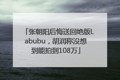 张朝阳后悔送回绝版Labubu，胡润称没想到能拍到108万