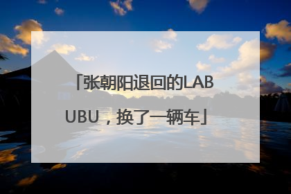 张朝阳退回的LABUBU，换了一辆车