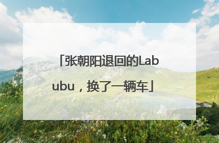 张朝阳退回的Labubu，换了一辆车