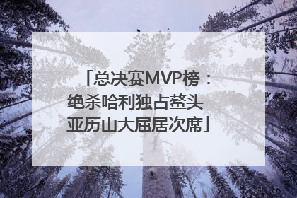 总决赛MVP榜：绝杀哈利独占鳌头 亚历山大屈居次席