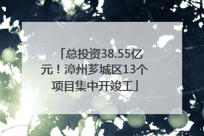 总投资38.55亿元！漳州芗城区13个项目集中开竣工