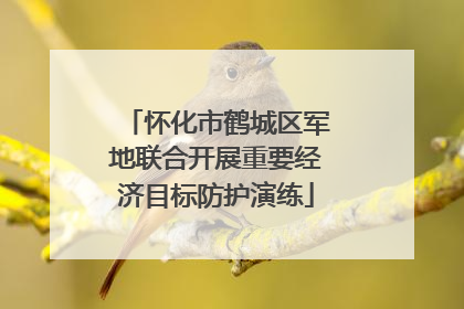 怀化市鹤城区军地联合开展重要经济目标防护演练