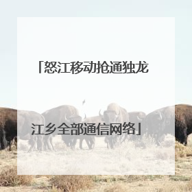 怒江移动抢通独龙江乡全部通信网络