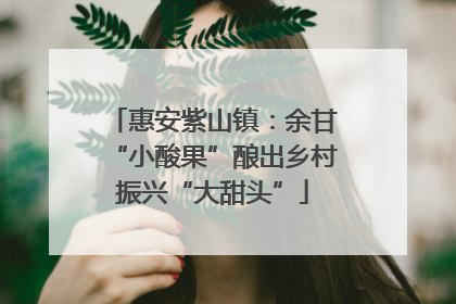惠安紫山镇：余甘“小酸果”酿出乡村振兴“大甜头”