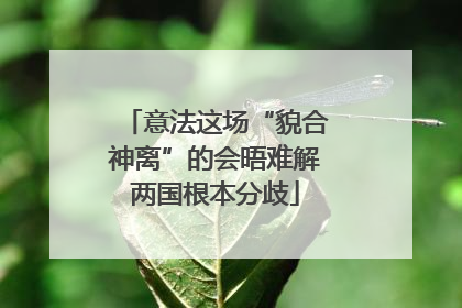意法这场“貌合神离”的会晤难解两国根本分歧