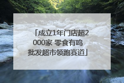 成立1年门店超2000家 零食有鸣批发超市领跑赛道