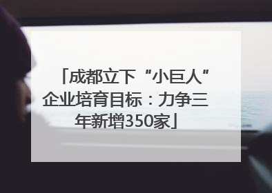 成都立下“小巨人”企业培育目标：力争三年新增350家