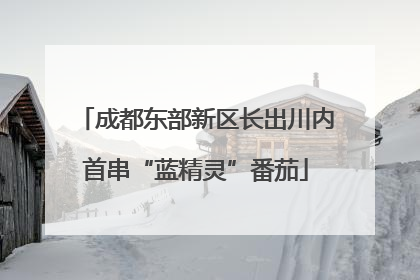 成都东部新区长出川内首串“蓝精灵”番茄