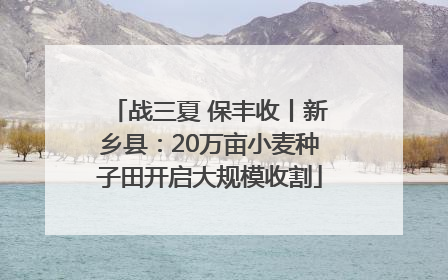 战三夏 保丰收丨新乡县：20万亩小麦种子田开启大规模收割