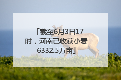 截至6月3日17时，河南已收获小麦6332.5万亩