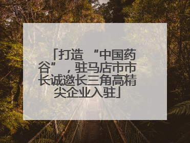 打造 “中国药谷”，驻马店市市长诚邀长三角高精尖企业入驻