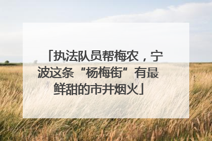 执法队员帮梅农，宁波这条“杨梅街”有最鲜甜的市井烟火