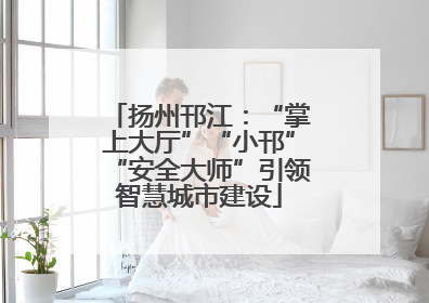 扬州邗江：“掌上大厅”“小邗”“安全大师”引领智慧城市建设