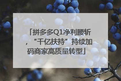 拼多多Q1净利腰斩，“千亿扶持”持续加码商家高质量转型