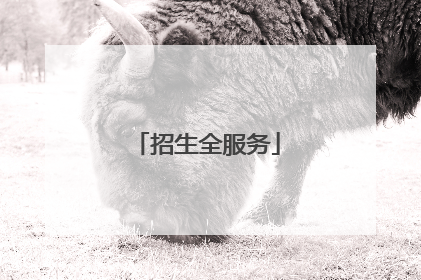 招生全服务