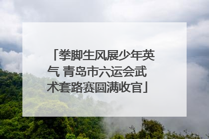 拳脚生风展少年英气 青岛市六运会武术套路赛圆满收官