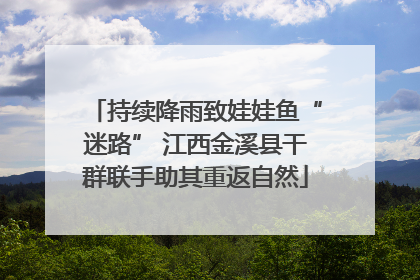 持续降雨致娃娃鱼“迷路” 江西金溪县干群联手助其重返自然
