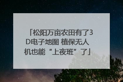 松阳万亩农田有了3D电子地图 植保无人机也能“上夜班”了