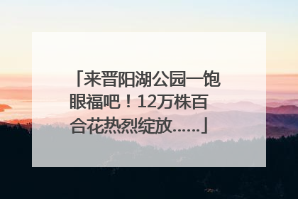 来晋阳湖公园一饱眼福吧！12万株百合花热烈绽放……