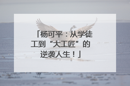 杨可平：从学徒工到“大工匠”的逆袭人生！
