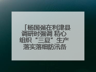 杨国强在利津县调研时强调 精心组织“三夏”生产 落实落细防汛备汛工作