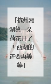 杭州湘湖第一朵荷花开了！西湖的还要再等等